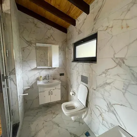 Ugurlu Konaklari Villa Sapanca